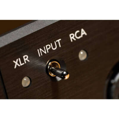 Violectric HPA V2224