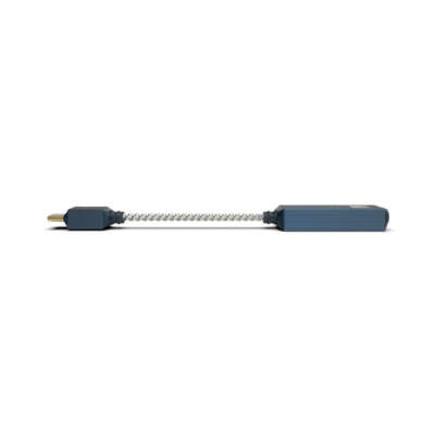 iFi Audio Go link MAX 2
